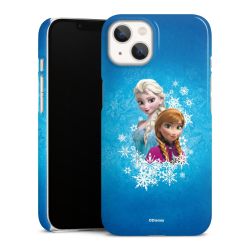 Premium Skyddskal blank