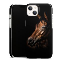 Premium Case glossy