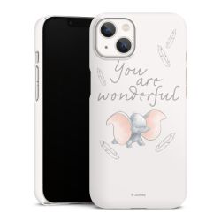 Premium Skyddskal blank