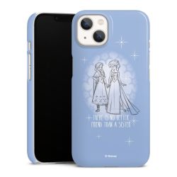 Premium Skyddskal blank