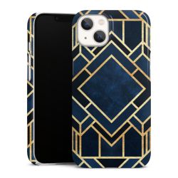 Premium Skyddskal blank