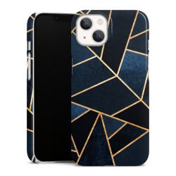 Premium Skyddskal blank