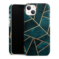 Premium Skyddskal blank