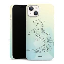 Premium Skyddskal blank