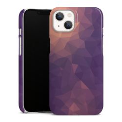 Premium Case glossy