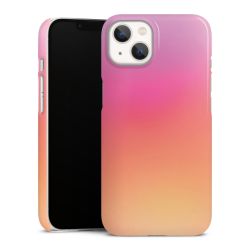 Premium Skyddskal blank