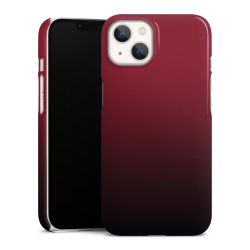 Premium Case glänzend