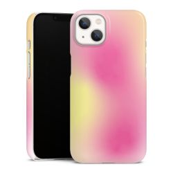 Premium Skyddskal blank