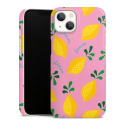 Premium Skyddskal blank