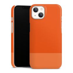 Premium Skyddskal blank