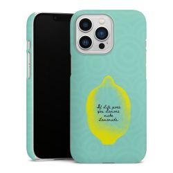 Premium Case matt