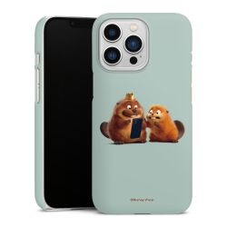 Premium Skyddskal matt