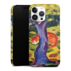 Premium Skyddskal matt