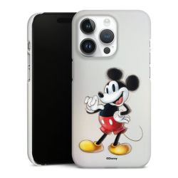 Premium Skyddskal matt