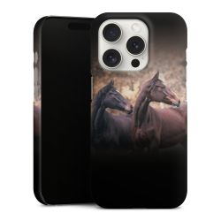 Premium Case matt