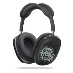 Apple AirPods Max Case glossy