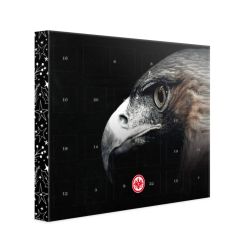 Premium Adventskalender mit Ferrero Pralinen XXL Querformat