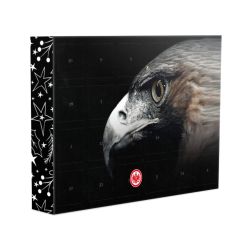 Premium Adventskalender mit Ferrero Pralinen Querformat