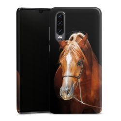 Premium Case glossy