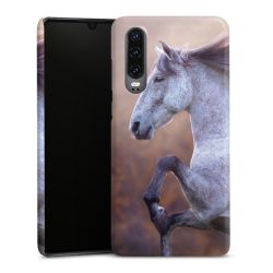 Premium Case glossy