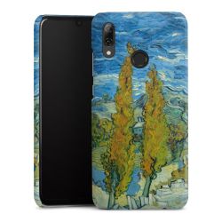 Premium Skyddskal matt