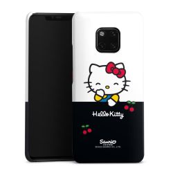 Premium Case glänzend