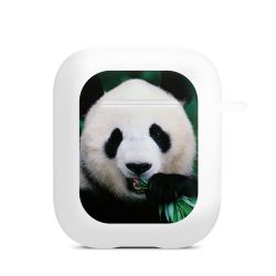 Apple AirPods Case white