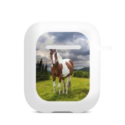 Apple AirPods Case white