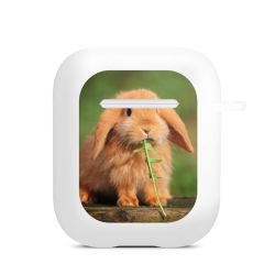 Apple AirPods Case white