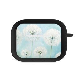 Apple AirPods Case black