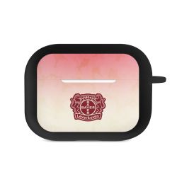 Apple AirPods Hülle schwarz