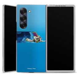 Skyddskal genomskinlig