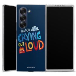 Skyddskal genomskinlig