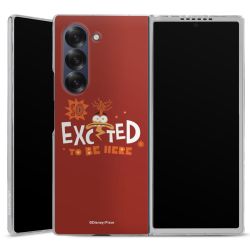 Skyddskal genomskinlig