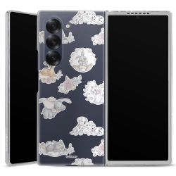 Skyddskal genomskinlig