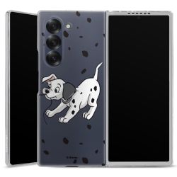 Skyddskal genomskinlig