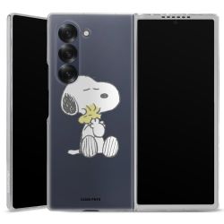 Hard Case transparent