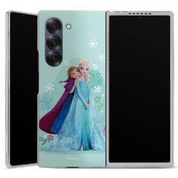 Skyddskal genomskinlig