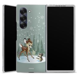 Skyddskal genomskinlig