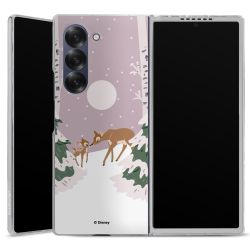 Skyddskal genomskinlig