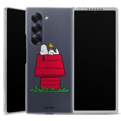 Hard Case transparent