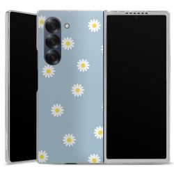 Skyddskal genomskinlig