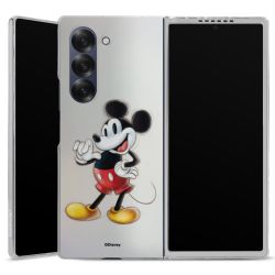 Skyddskal genomskinlig