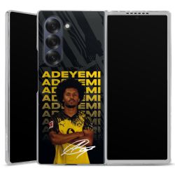 Skyddskal genomskinlig