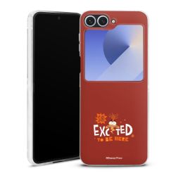 Skyddskal genomskinlig