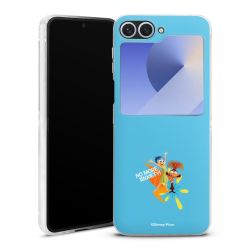 Skyddskal genomskinlig