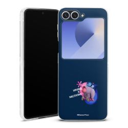 Skyddskal genomskinlig