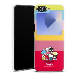 Hard Case transparent