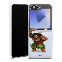 Skyddskal genomskinlig