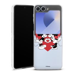 Skyddskal genomskinlig